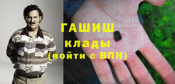 мет Алексин