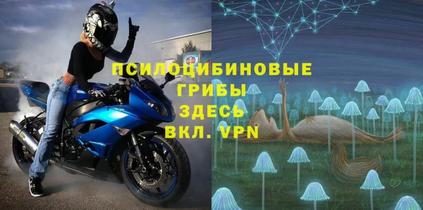 прущие грибы Алексеевка