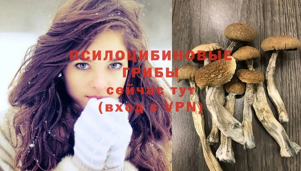 мет Алексин