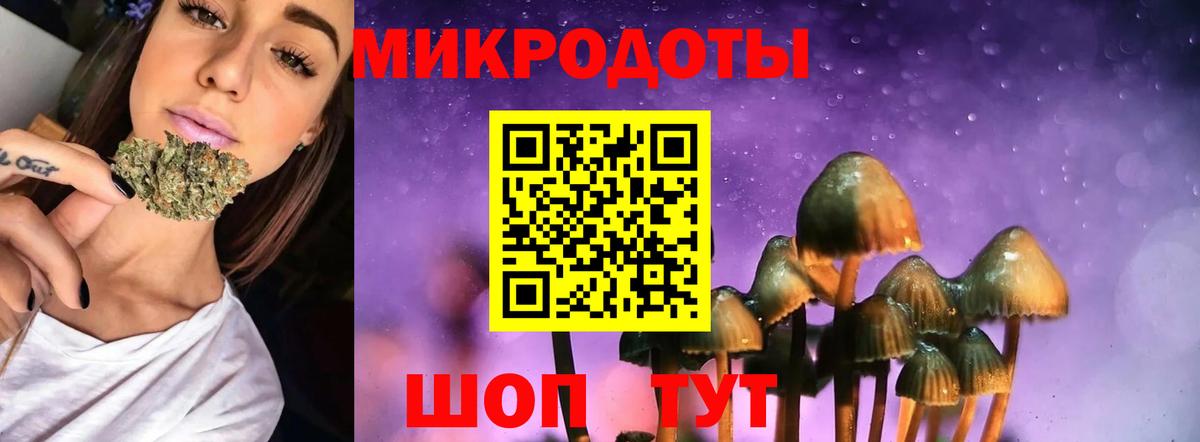 Галлюциногенные грибы прущие грибы  Вход с VPN  Касимов  Галлюциногенные грибы мухоморы 